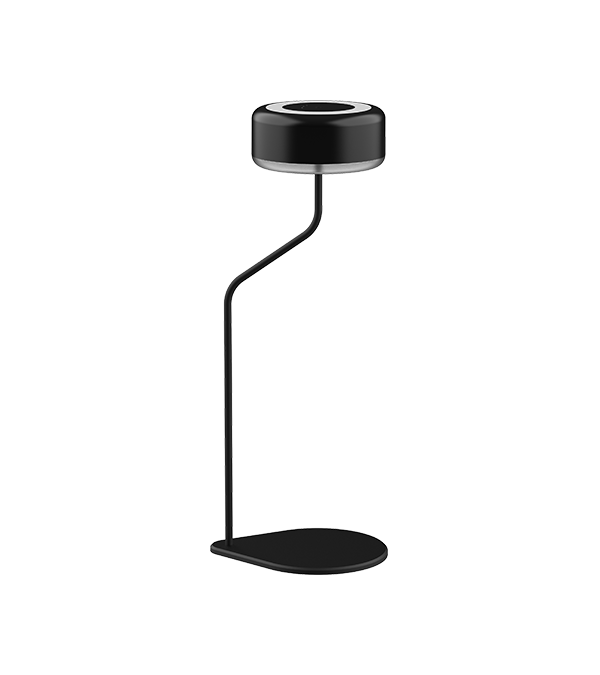 Incurrentes Lucerna cum Bent Tube HR95006 Incurrentes Lucerna cum Bent Tube HR95006